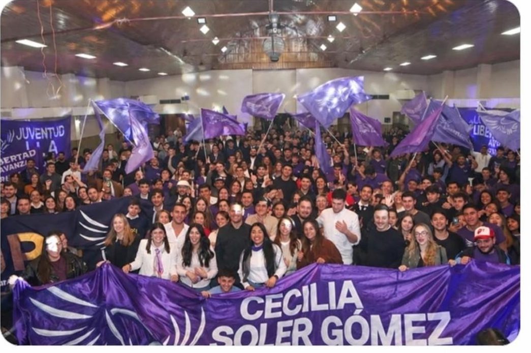 Plenario de la Juventud en Mendoza con banderas violetas